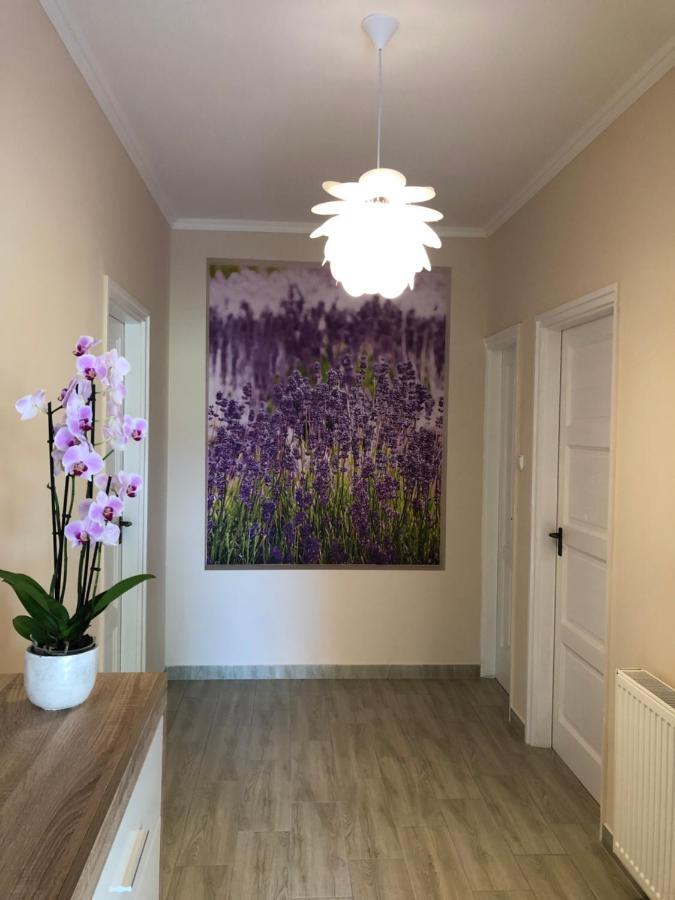 Veronika Apartman *